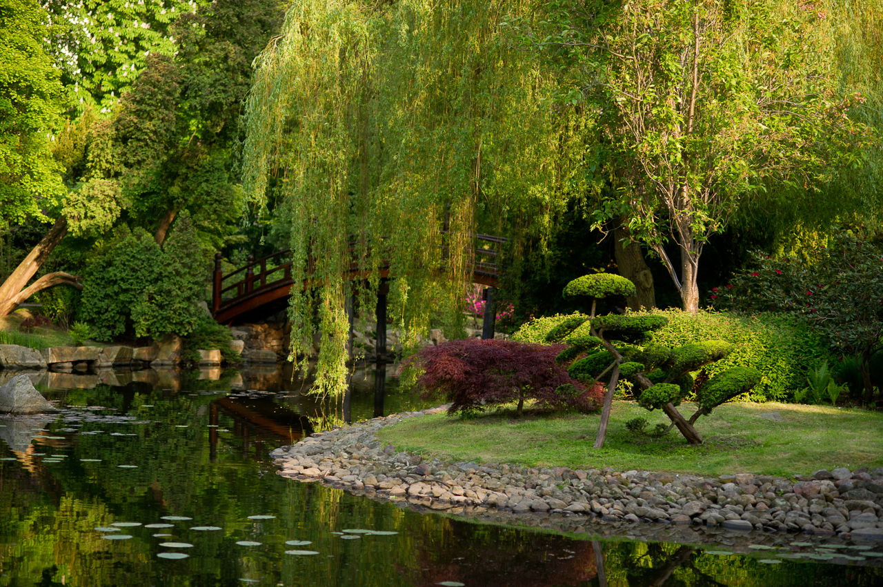 Onwijs 8 Japanse tuindecoratie ideeën voor jouw tuin YV-56
