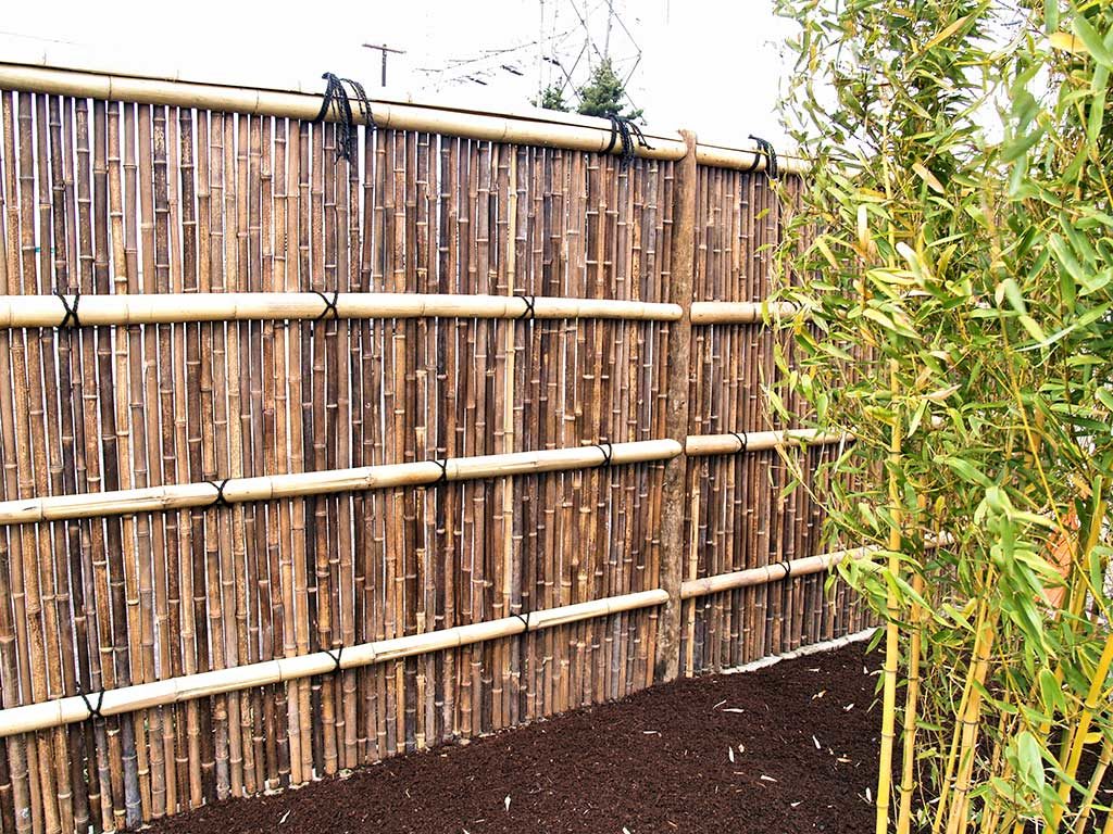 Bamboo in tuin | Tuindecoratie voor aan de muur