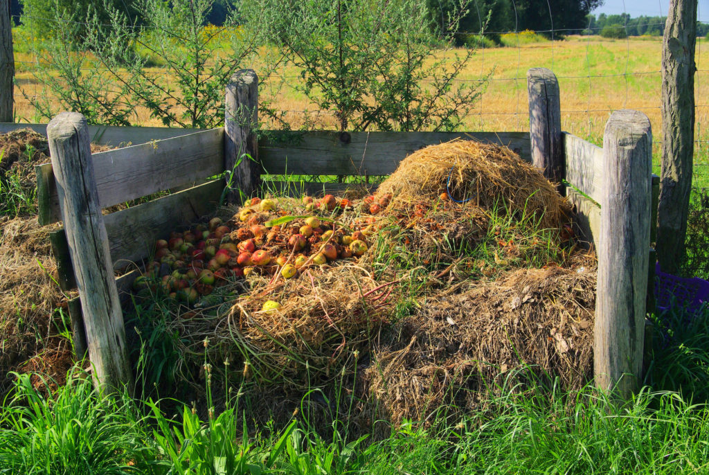 Compost is over het algemeen een uitstekende bemesting voor een moestuin, bij aardbeien en bladgewassen, kan het aan te raden zijn om voor mest te kiezen