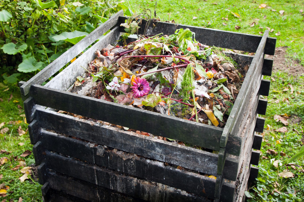 Compost is over het algemeen een uitstekende bemesting voor een moestuin, bij aardbeien en bladgewassen, kan het aan te raden zijn om voor mest te kiezen