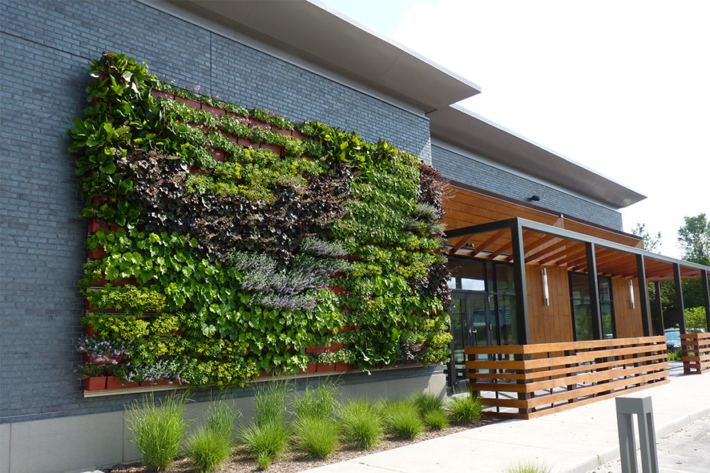 Groene beplanting aan muur | Tuindecoratie voor aan de muur