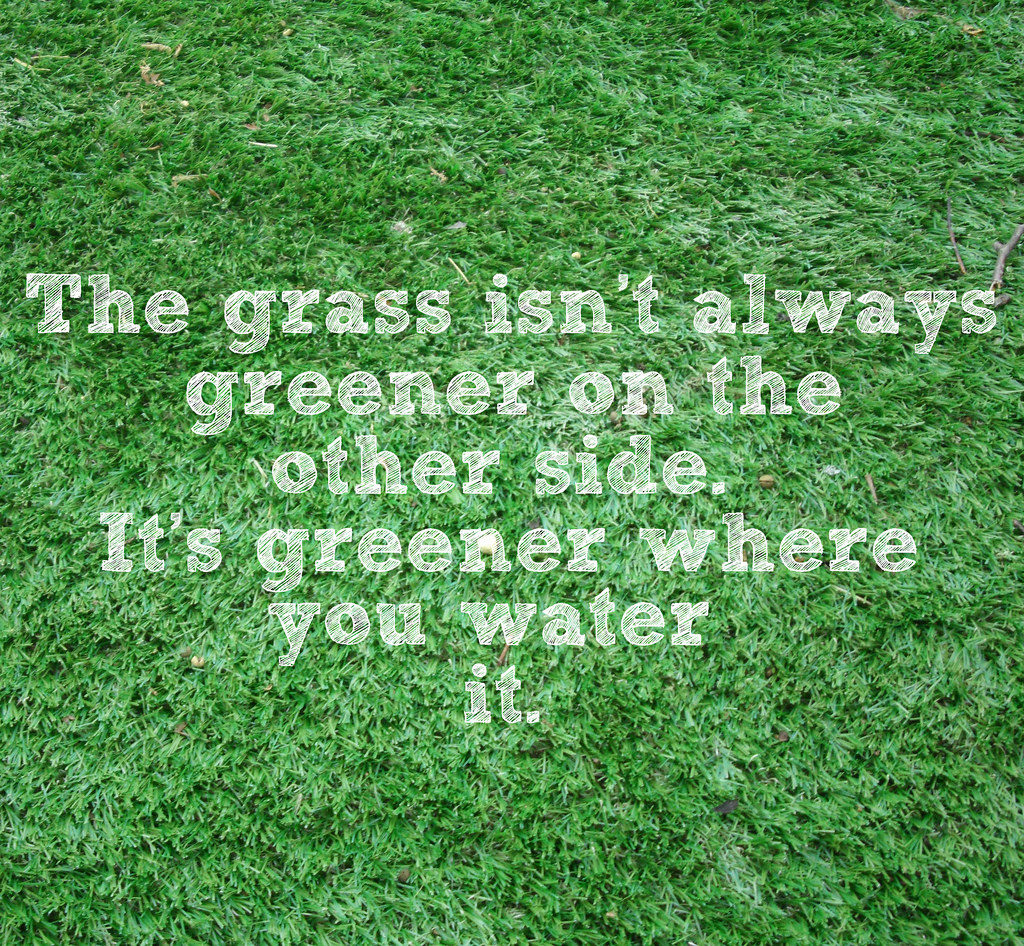 Het gras is altijd groener bij de buren