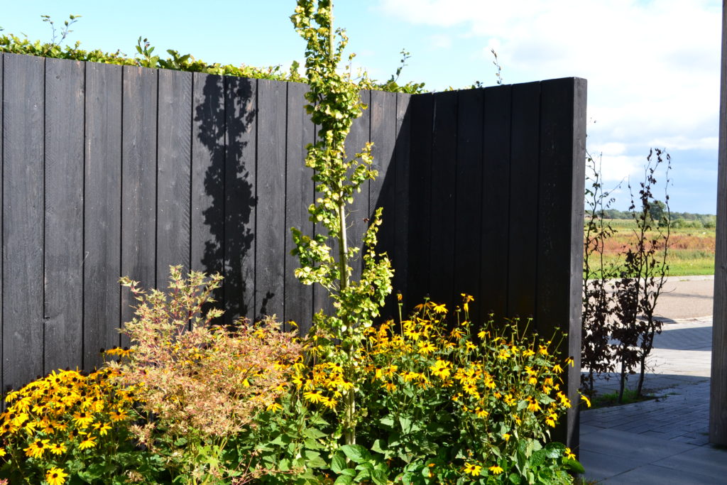 Zwarte schutting in moderne tuin met gele bloemen