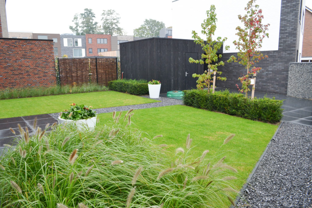 Strak gazon in moderne tuin met siergrassen | Siergrassen