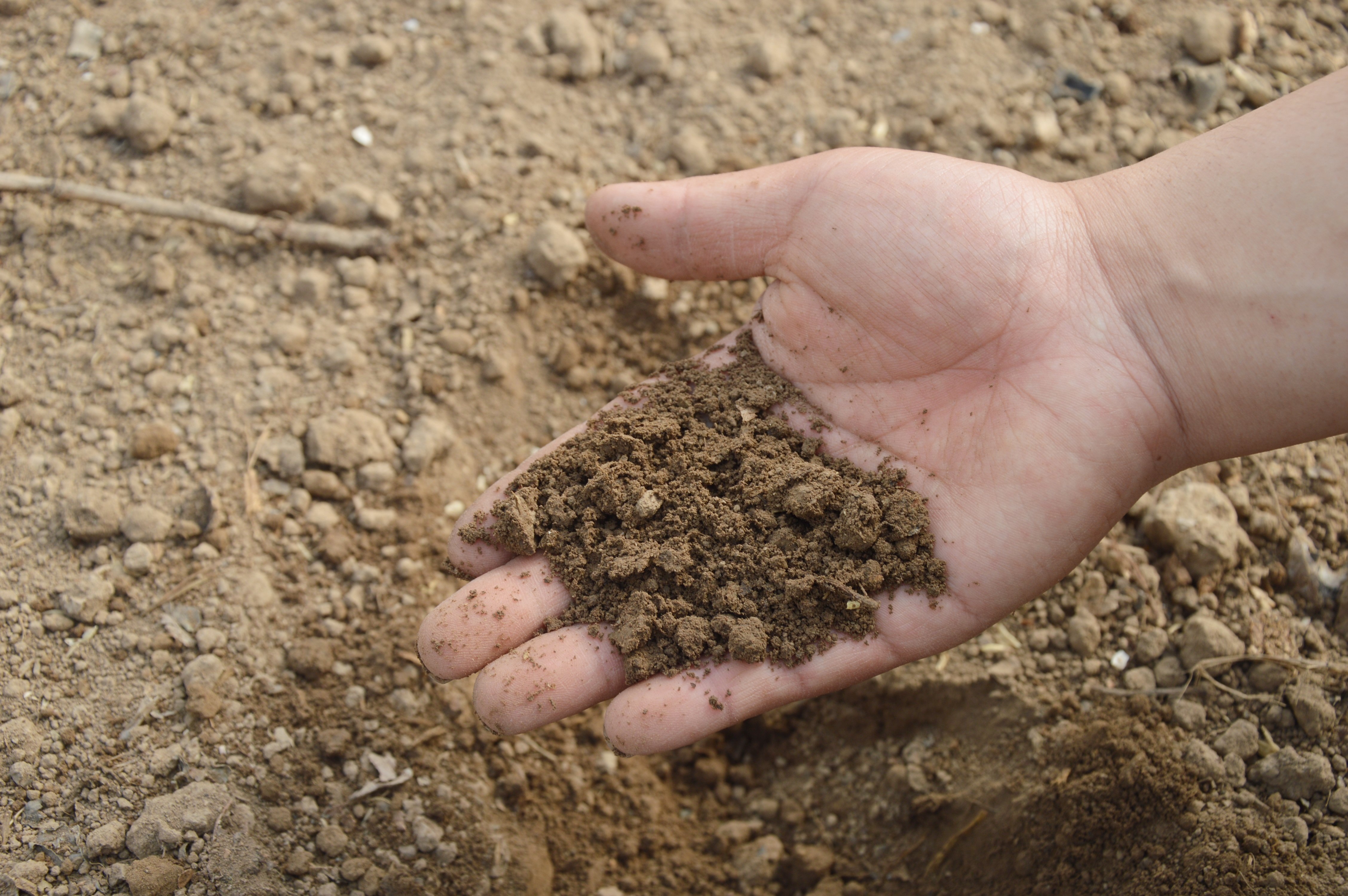 zandgrond in hand